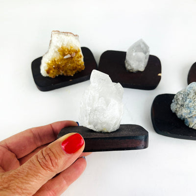 Crystals on Wood Base with crystal cluster in a hand for size reference