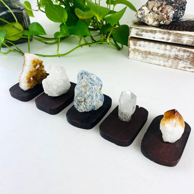 5 Crystals on Wood Bases, showing citrine crystal cluster, quartz crystal cluster, blue kyanite, quartz point, citrine point