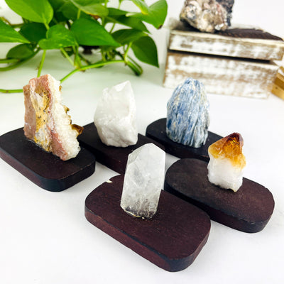 5 Crystals on Wood Base showing back sides