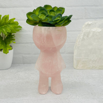 Carved Gemstone Plant Person displayed as home decor 