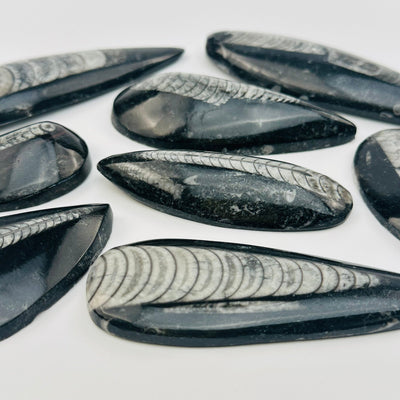 side view to show the thickness 