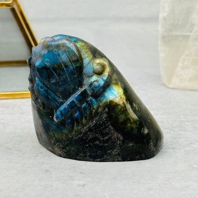 Carved Labradorite Butterfly displayed as home decor 
