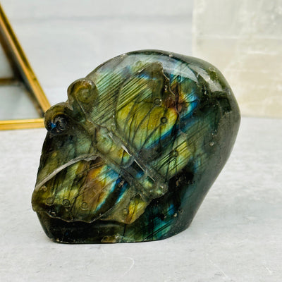 Carved Labradorite Butterfly displayed as home decor 