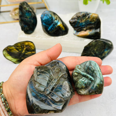 Carved Labradorite Butterfly in hand for size reference 