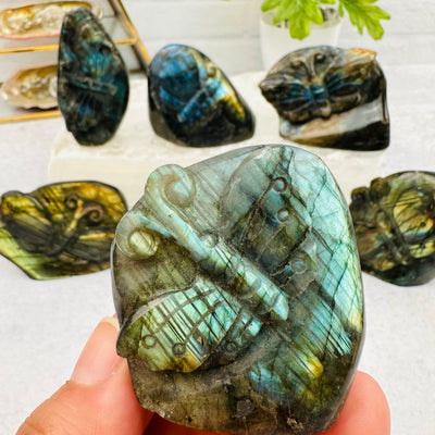 close up of the flash on this labradorite 