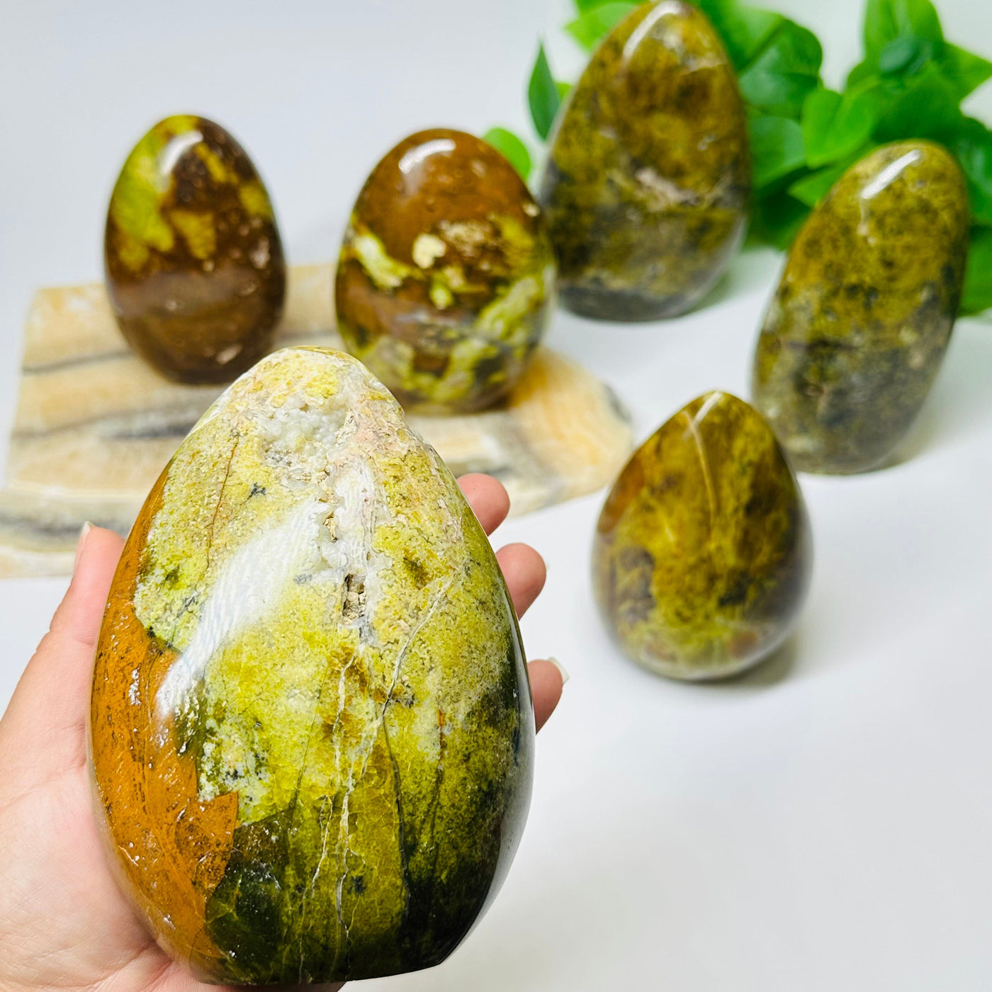 Pistachio Green Opal Crystal Polished Cut Base in hand for size reference 