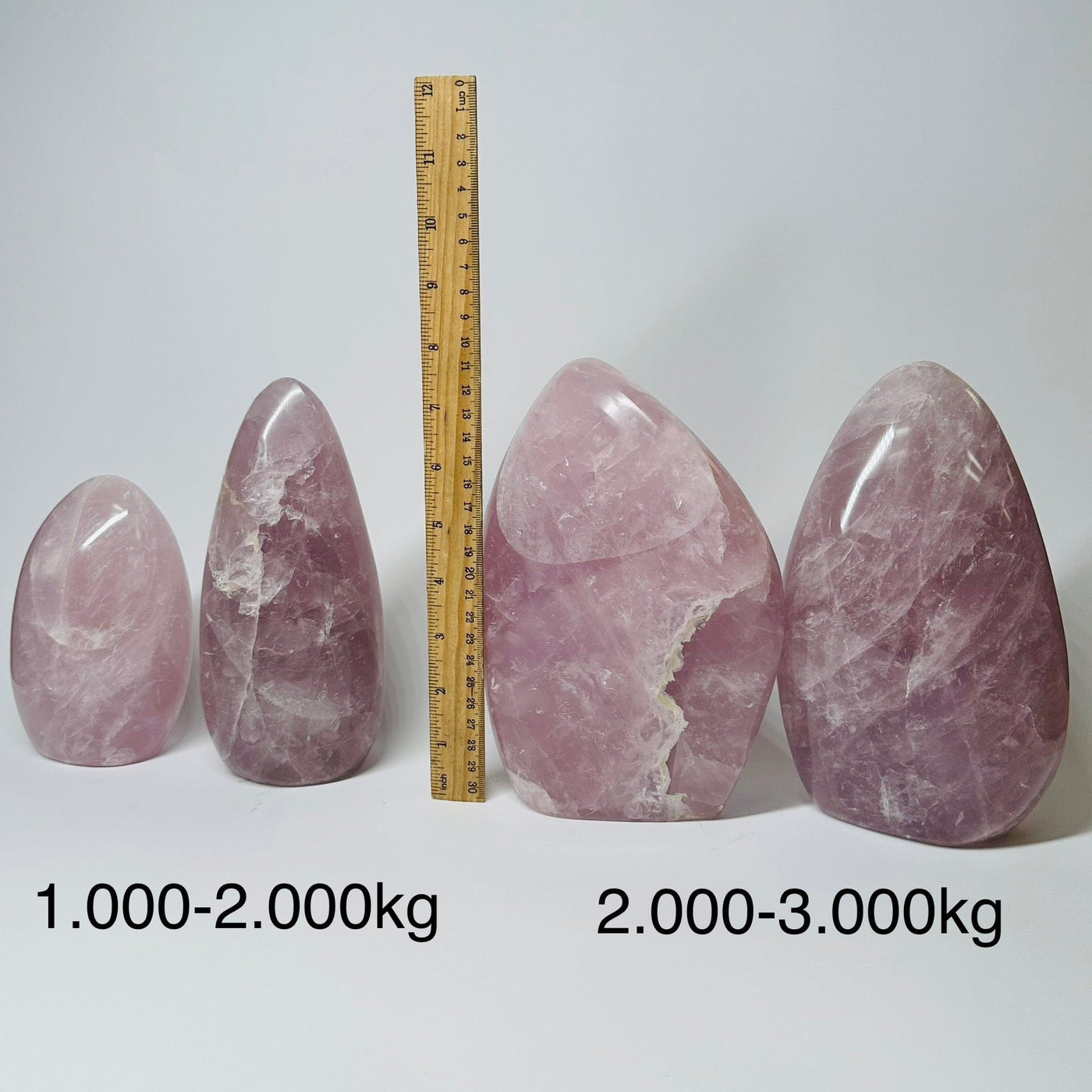 Large Rose Quartz Crystal Cut Base - By Weight displayed next to a ruler for size reference 