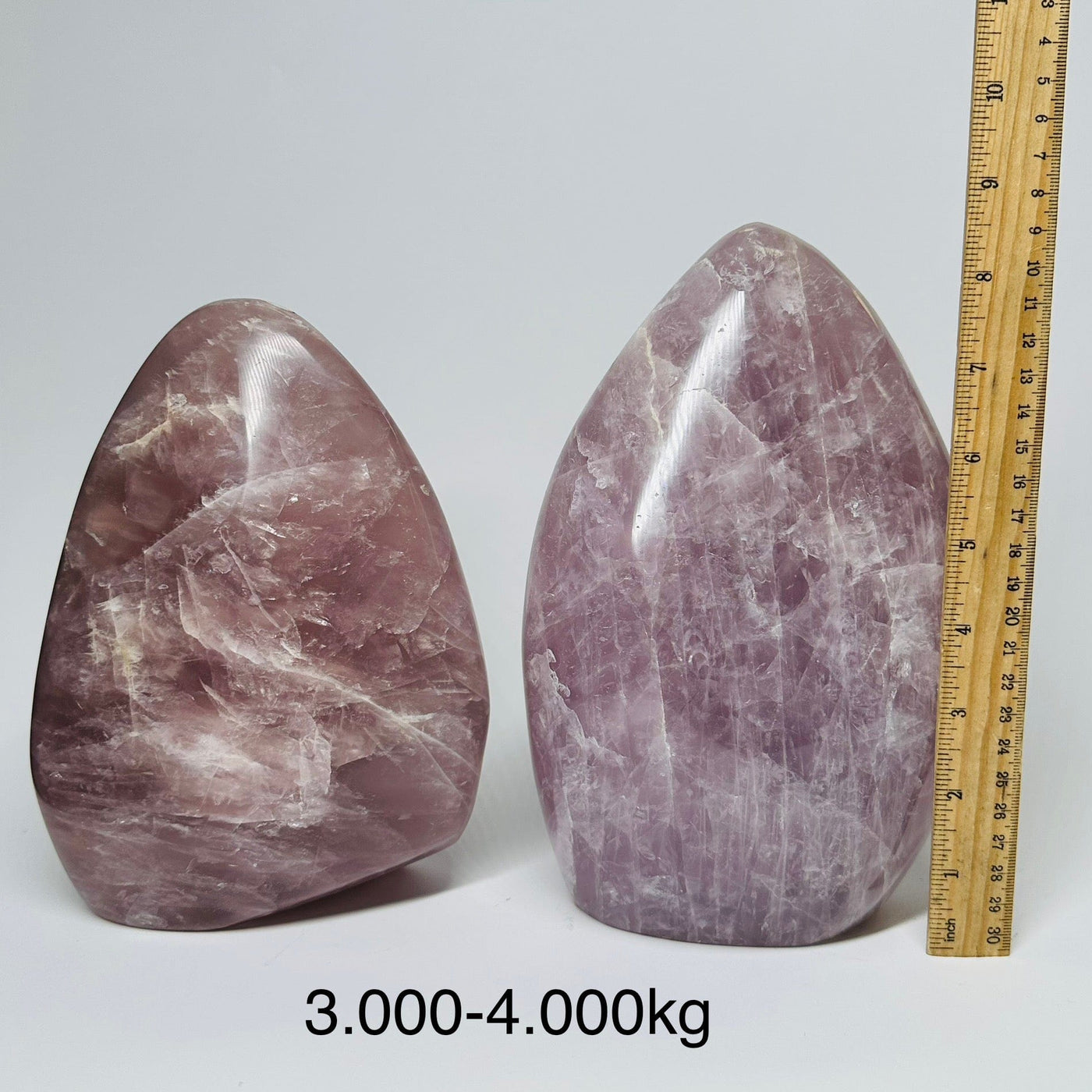 Large Rose Quartz Crystal Cut Base - By Weight displayed next to a ruler for size reference 