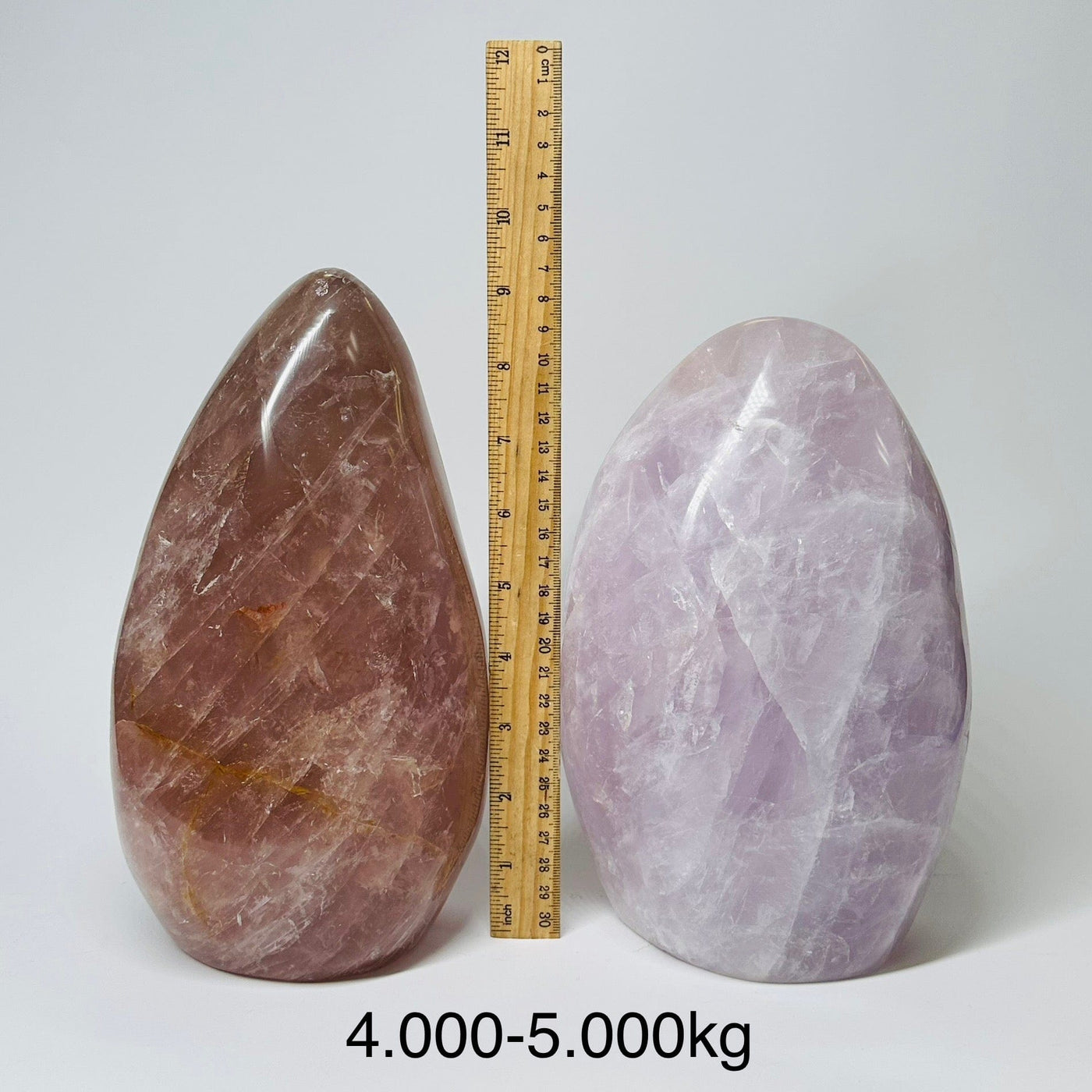 Large Rose Quartz Crystal Cut Base - By Weight displayed next to a ruler for size reference 