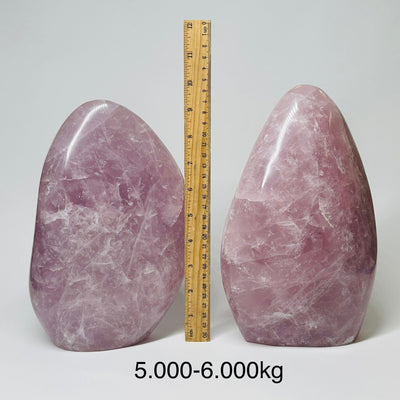 Large Rose Quartz Crystal Cut Base - By Weight displayed next to a ruler for size reference 
