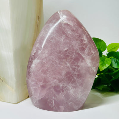 Large Rose Quartz Crystal Cut Base - displayed as home decor