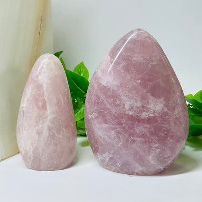 Large Rose Quartz Crystal Cut Base - By Weight displayed as home decor 