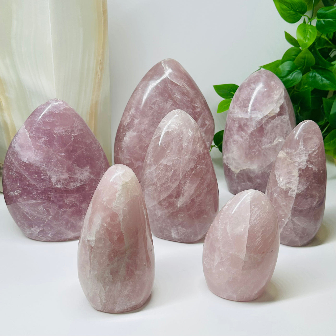 multiple rose quartz cut base crystals displayed to show the differences in the sizes and color shades 