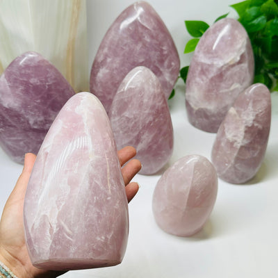 Large Rose Quartz Crystal Cut Base in hand for size reference 