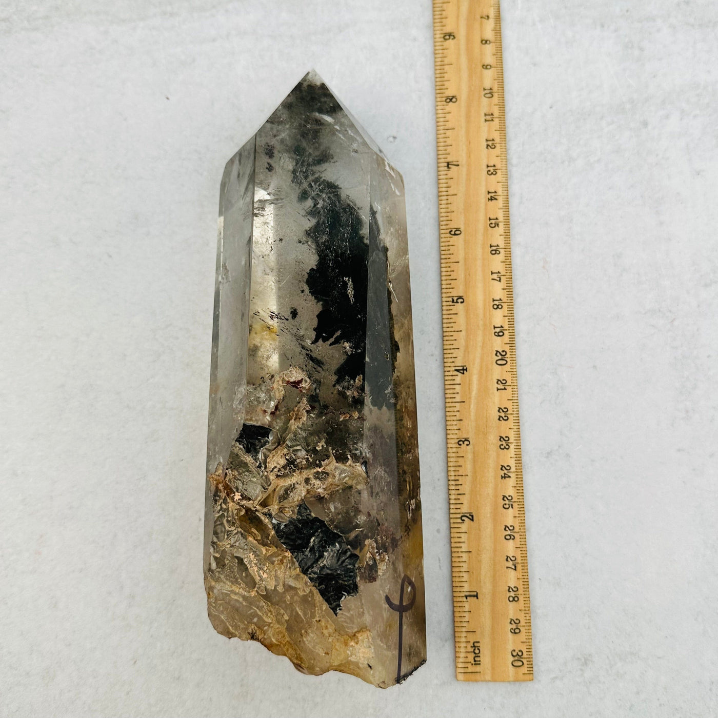 Lodolite Quartz next to a ruler for size reference 