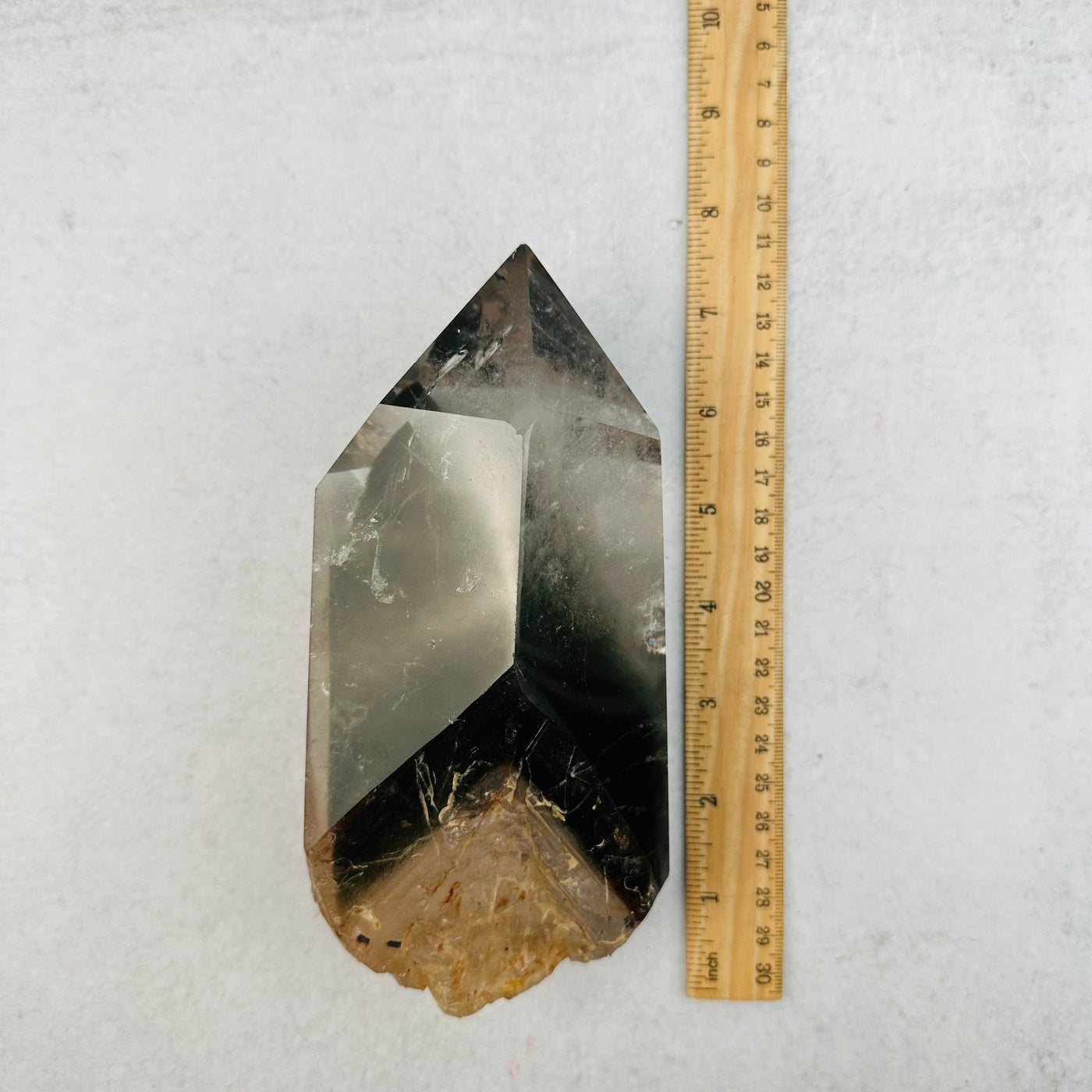 lodolite quartz point next to a ruler for size reference 