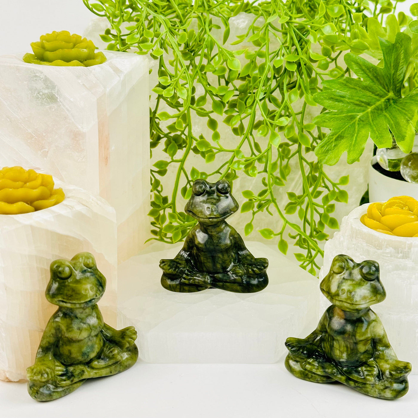 Green Jadeite Meditating Frog - Carved Crystal - three jadeite frogs sitting with plants and props in background