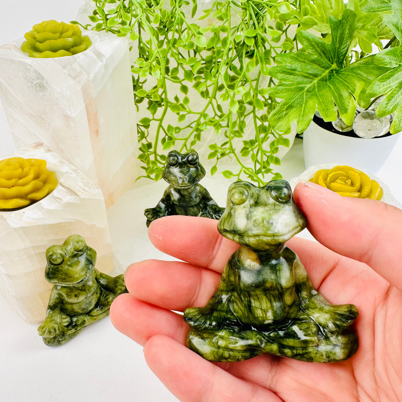 Green Jadeite Meditating Frog - Carved Crystal - in hand for size reference with other frogs in background with props and plants