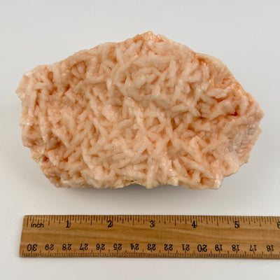 pink dolomite next to a ruler for size reference 