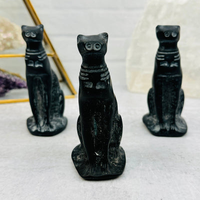 multiple cats displayed to show the differences in the carvings