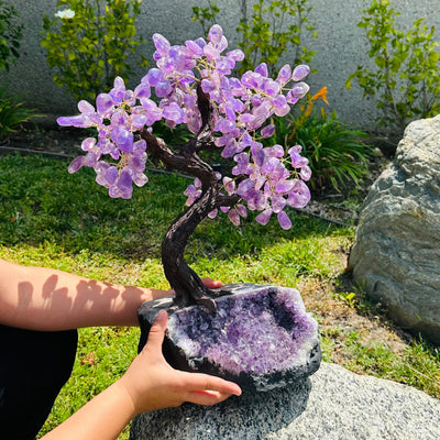 Large Crystal Tree on Amethyst Base