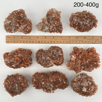 multiple aragonite crystal clusters displayed next to a ruler for size reference 