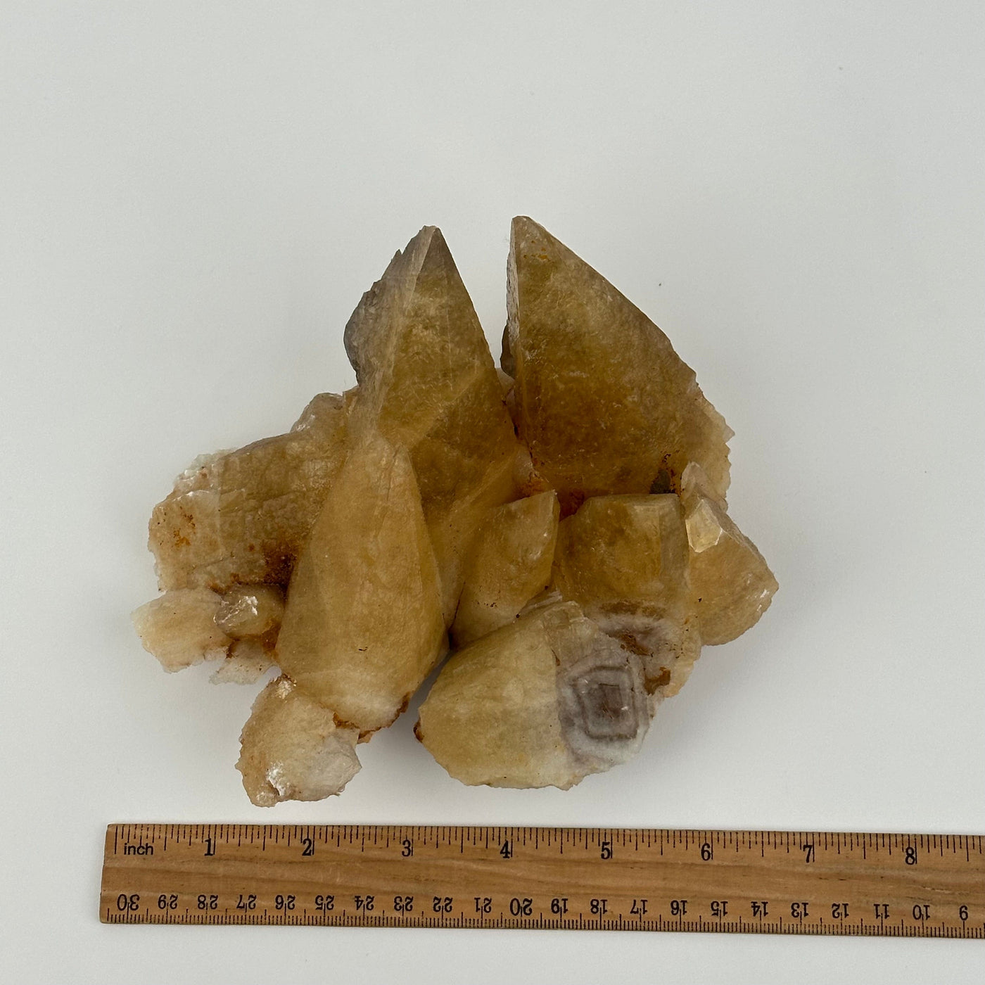 Dogtooth Calcite Crystal Cluster displayed next to a ruler for size reference 