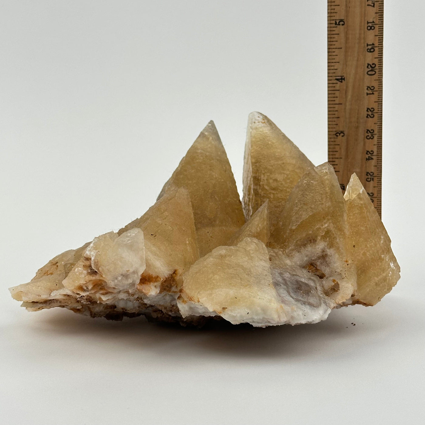 Dogtooth Calcite Crystal Cluster displayed next to a ruler for size reference 