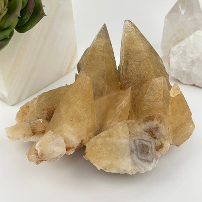 Dogtooth Calcite Crystal Cluster displayed as home decor