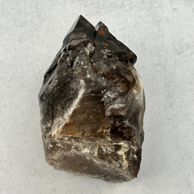 back side of the Elestial Alligator Smokey Quartz Crystal