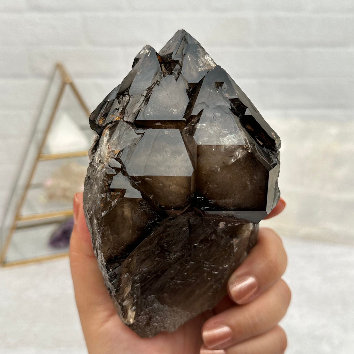 Elestial Alligator Smokey Quartz Crystal in hand for size reference 