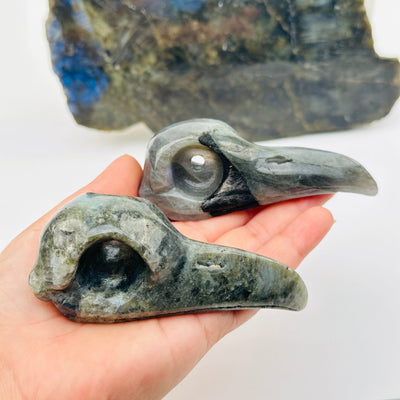 Labradorite Crystal Raven Skull Head in hand for size reference 