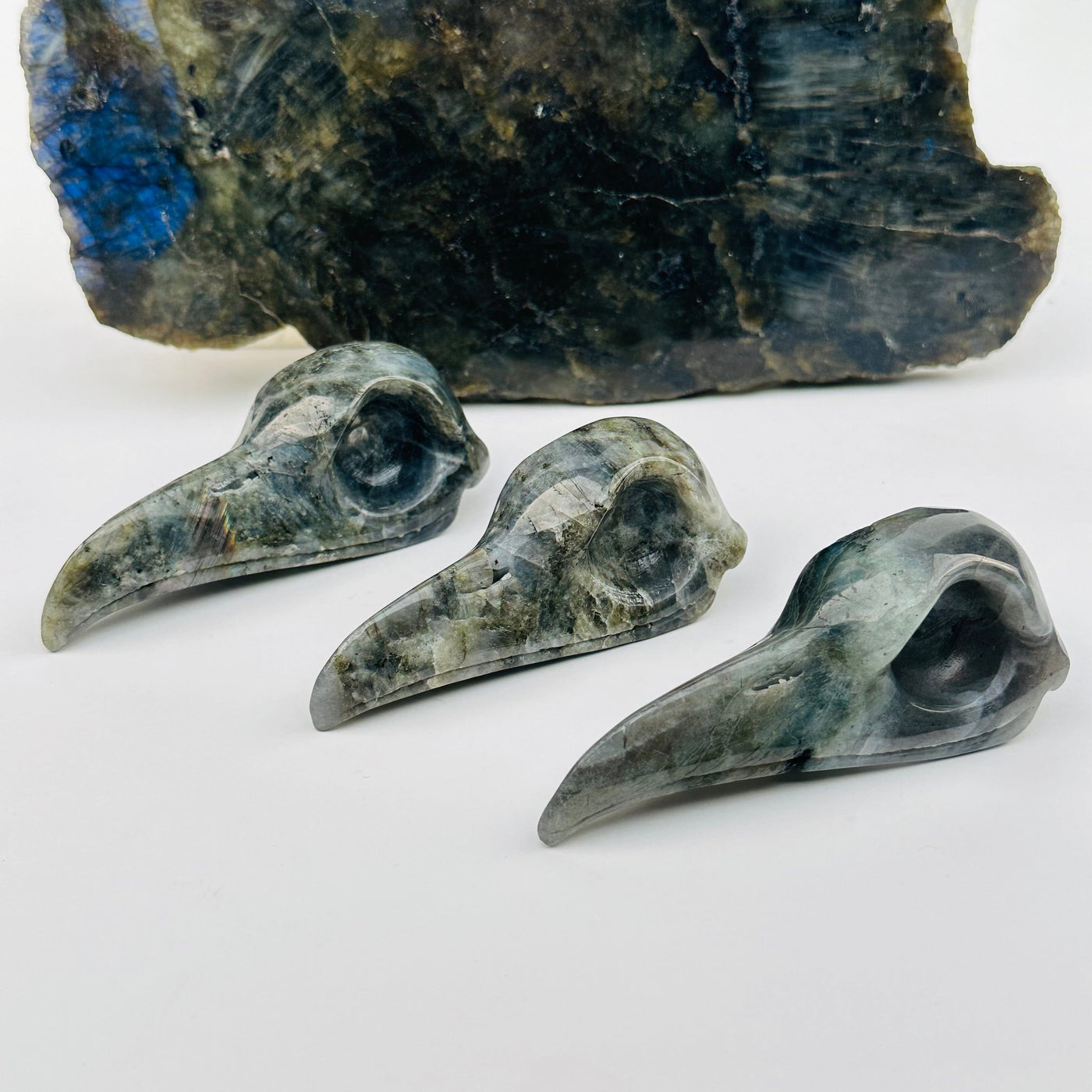 Labradorite Crystal Raven Skull Head - Carved Stone