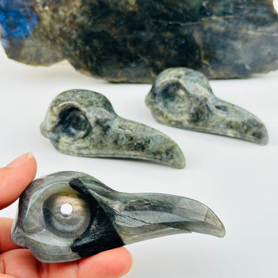 Labradorite Crystal Raven Skull Head - Carved Stone in hand for size reference 