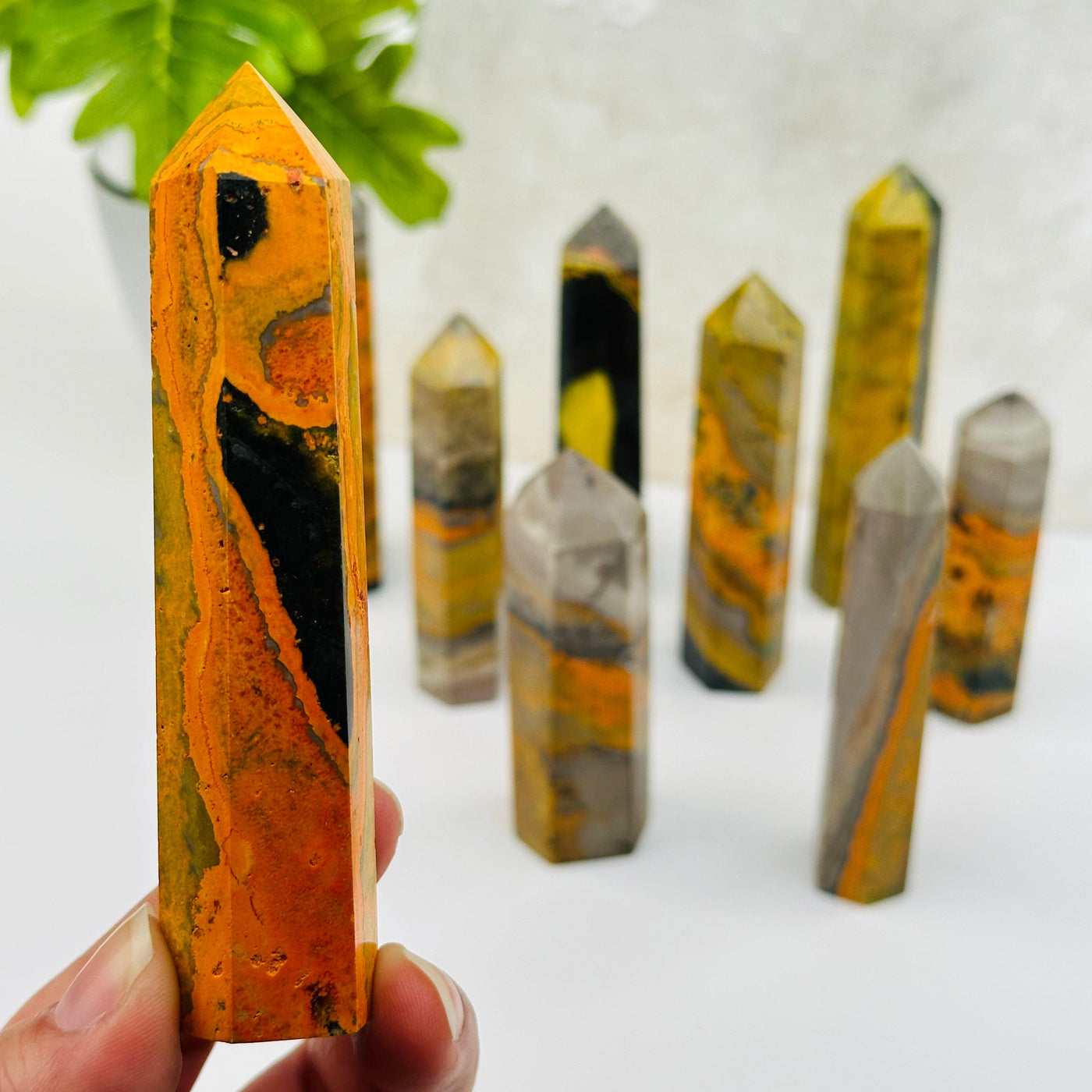 Bumble Bee Jasper Crystal Point - By Weight -