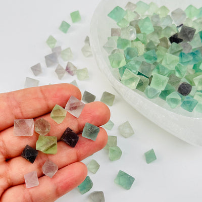 Fluorite Octahedron crystals in hand for size reference 