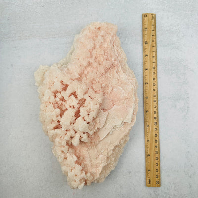 Pink Halite Unique Formation from California next to a ruler for size reference 