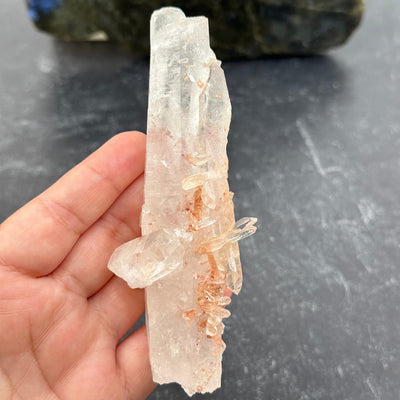 close up of the details on this lemurian crystal