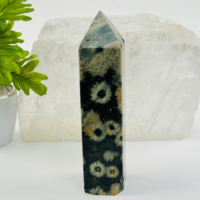 Green Sea Jasper Obelisk Crystal Point displayed as home decor