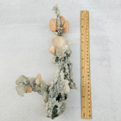 Pink Stilbite with Calcite on Chalcedony Stalacmite next to a ruler for size reference 