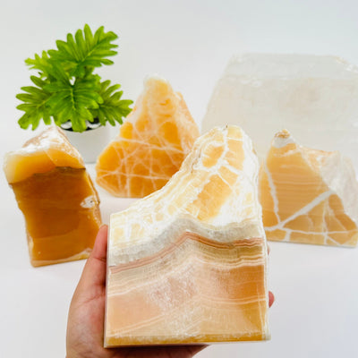 Orange Calcite Semi-polished cut base Crystal in hand for size reference 