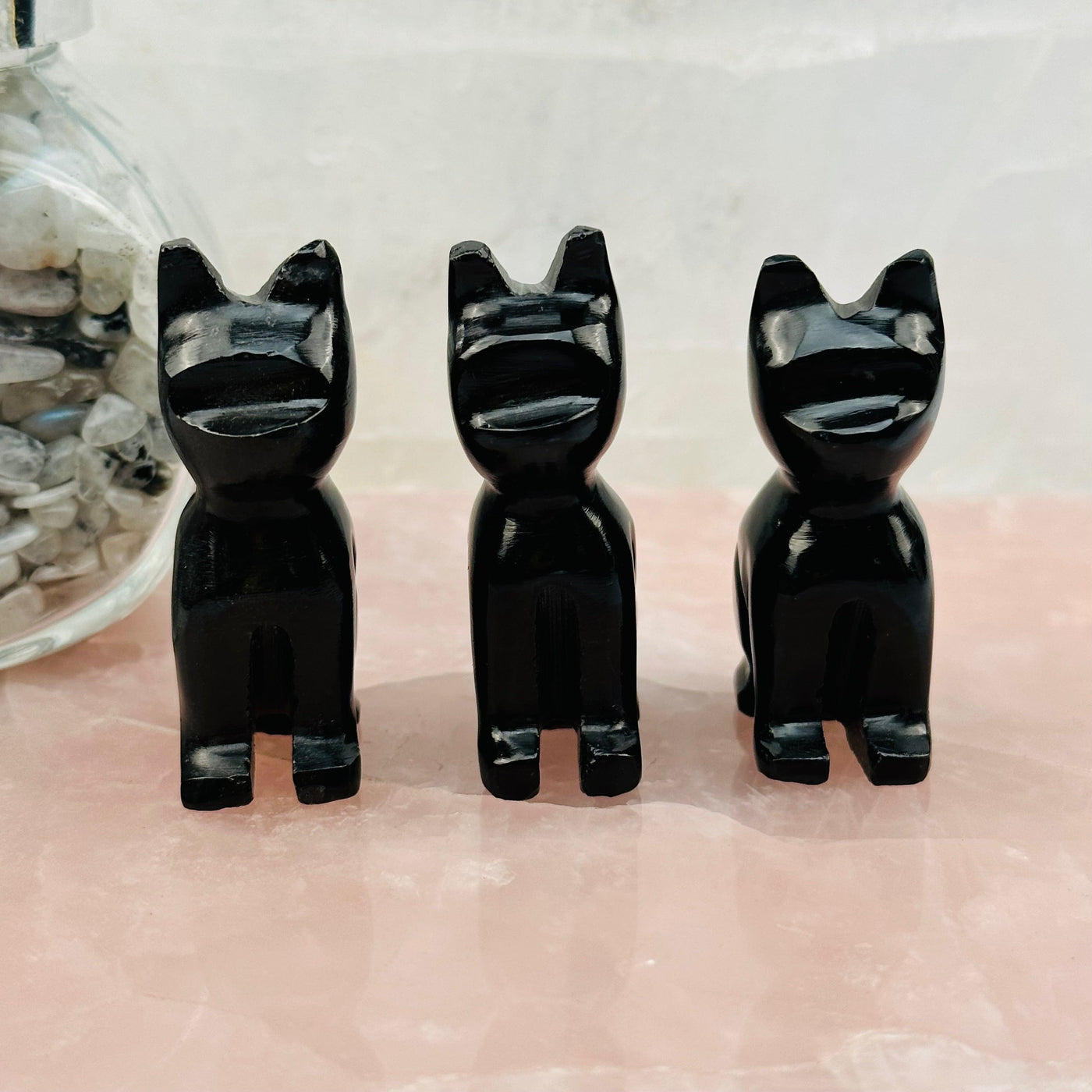 multiple cats displayed to show the differences in the details 
