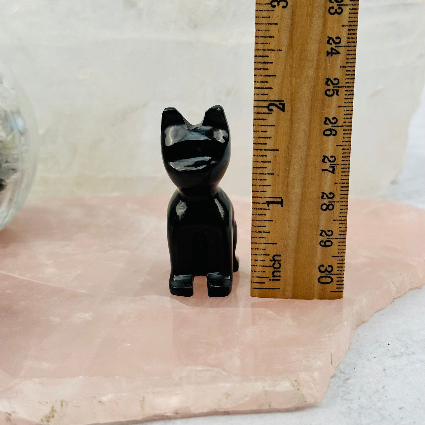onyx cat next to a ruler for size reference 