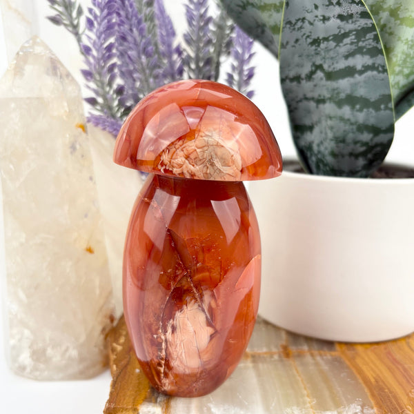 Carnelian Polished Crystal Mushroom on top of slab for display reference.