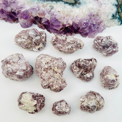 multiple Botryoidal Lepidolite Crystal Clusters displayed to show the differences in the sizes and color shades 