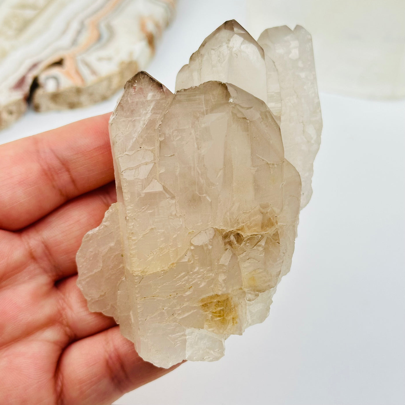 Natural Citrine with Smokey Quartz Crystal in hand for size reference 