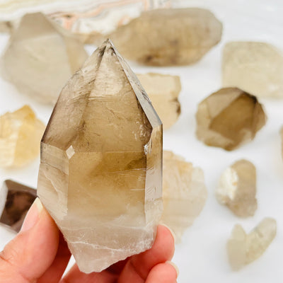 Natural Citrine with Smokey Quartz Crystal in hand for size reference 