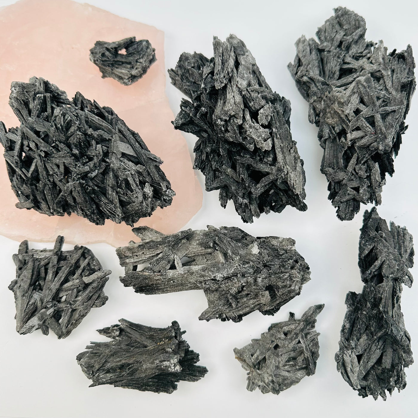 Black Kyanite Crystal Clusters displayed to show the differences in the sizes 