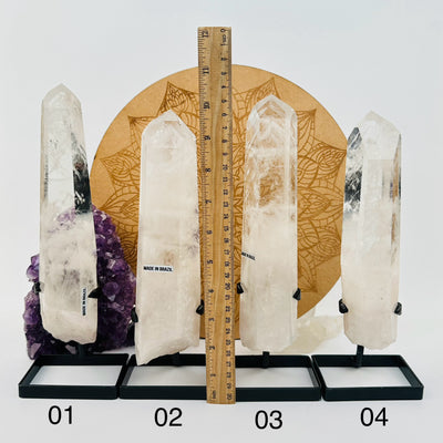 Crystal Quartz Points with Phantoms next to a ruler for size reference 