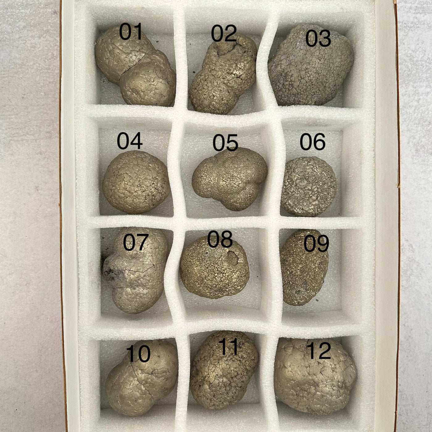 multiple pyrite nodules displayed to show the differences in the sizes
